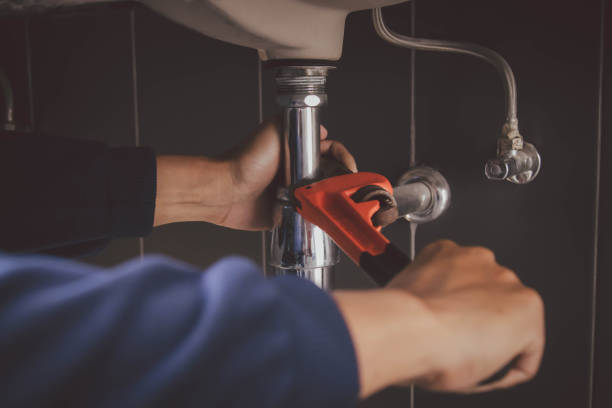 Best Plumbing Inspection Services  in Tamaqua, PA